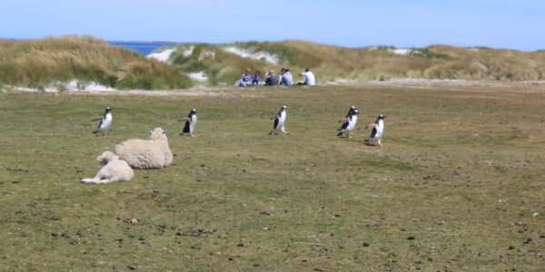 IMG_9276-scaled-600x300