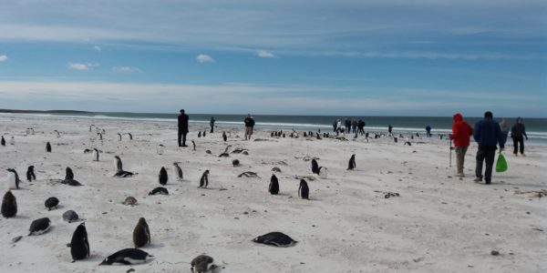 berthas-beach-2-600x300