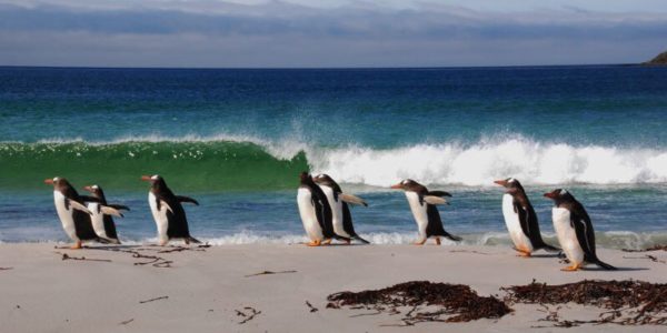 Berthas beach 600x300