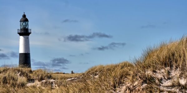 IMG_141-600x300