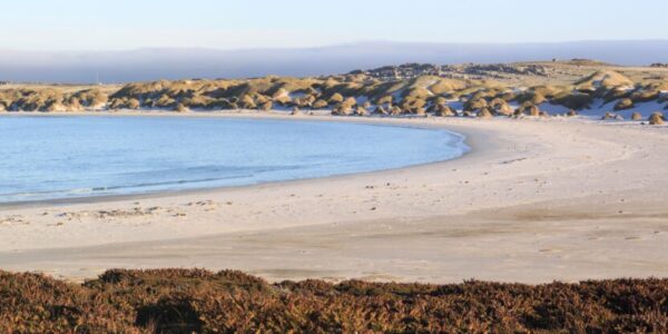 yorke-bay-scaled-600x300