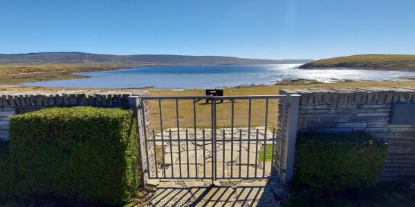 20210227_145353-scaled-600x300