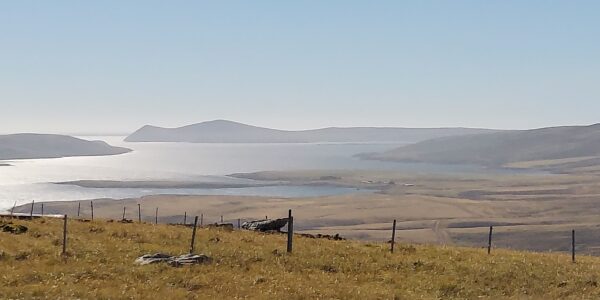 20210227_151349-scaled-600x300